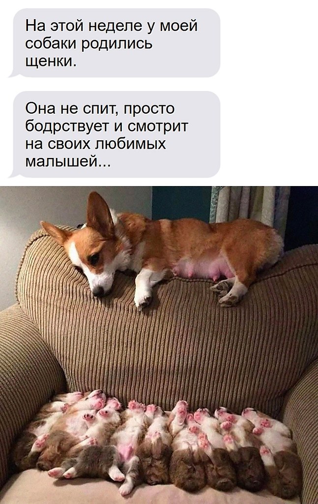 ��� �������� �������� - 9 ������� 2026 � 04:36