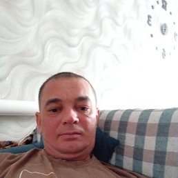 �������, 41 ���, ������