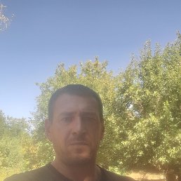 , 44, 
