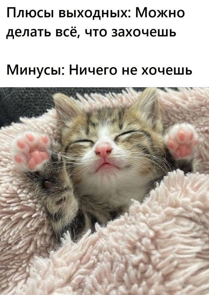   - 4  2025  15:15