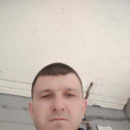 , 41, 