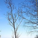 ���� ������, ��������, 50 ��� - ��������� 15 ����� 2025 � ������ ������ ��������