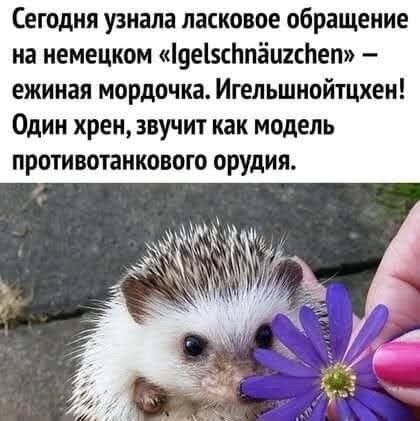 :)