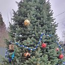 ���� �����, �����-���������, 38 ��� - ��������� 31 ������� 2025 � ������ ���� ����������