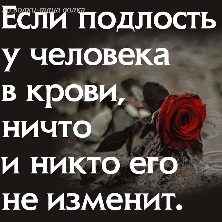 Наталья - 12 декабря 2023 в 20:09