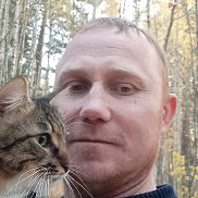 , 40 , 