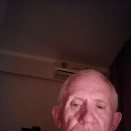 , 64, 