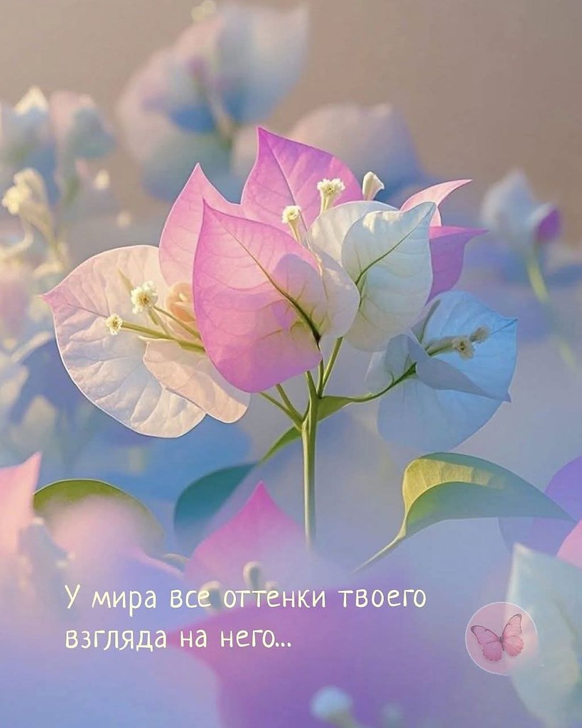  - 31  2025  16:51