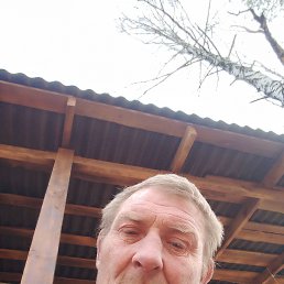  , 56, 