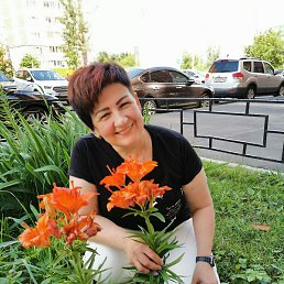 �������, ������, 53 ����