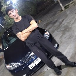 ����, �����, 41 ���