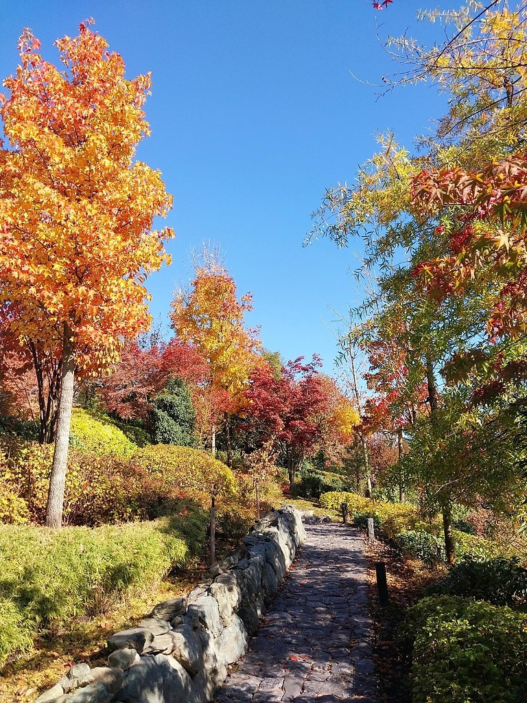 paca oce  oco ca  pacoape. - 7