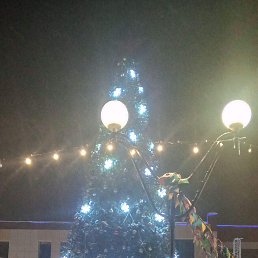 ���� �����, ����������� - ��������� 9 ������ 2026