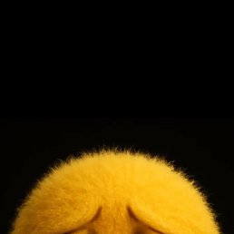 ���� �����, ������, 63 ���� - ��������� 12 ������� 2026