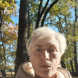 , 65, -