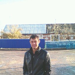 ����, 37 ���, ����������