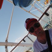 , 33 , 