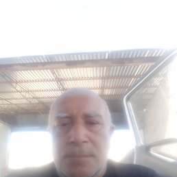 , 55, 