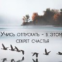 ���� ������, ����������, 57 ��� - ��������� 5 ����� 2025 � ������ ���� ����������