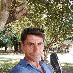 , 41, 