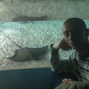 Roma, 35 ���, �������