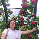 ���� �����, �����, 64 ���� - ��������� 1 ������� 2024 � ������ ���� ����������