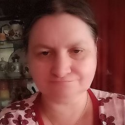 , , 52 
