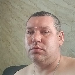 ���������, ������, 39 ���