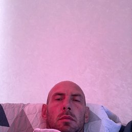 , 41, 