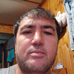 ����, ������, 46 ���