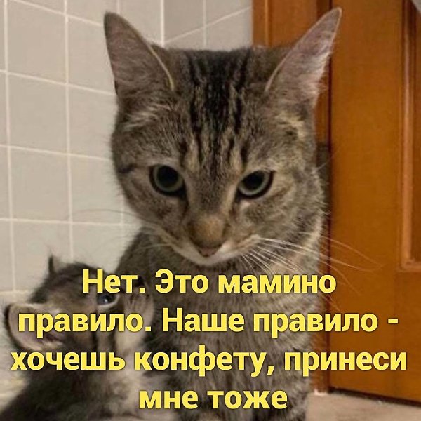    ) - 4