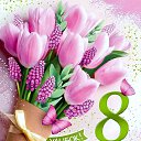 ���� ���������, ������, 55 ��� - ��������� 8 ����� 2026 � ������ ������ ��������