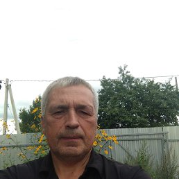 , 55 ,  