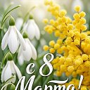 ���� ���������, ����� - ��������� 8 ����� 2026 � ������ ���� ����������