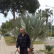 , 41 , 