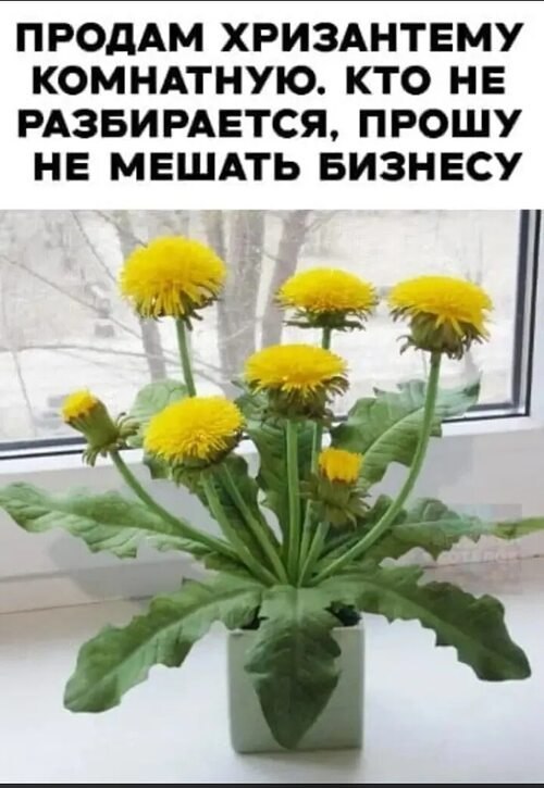  - 22  2025  18:25