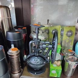 ����, ������, 37 ���