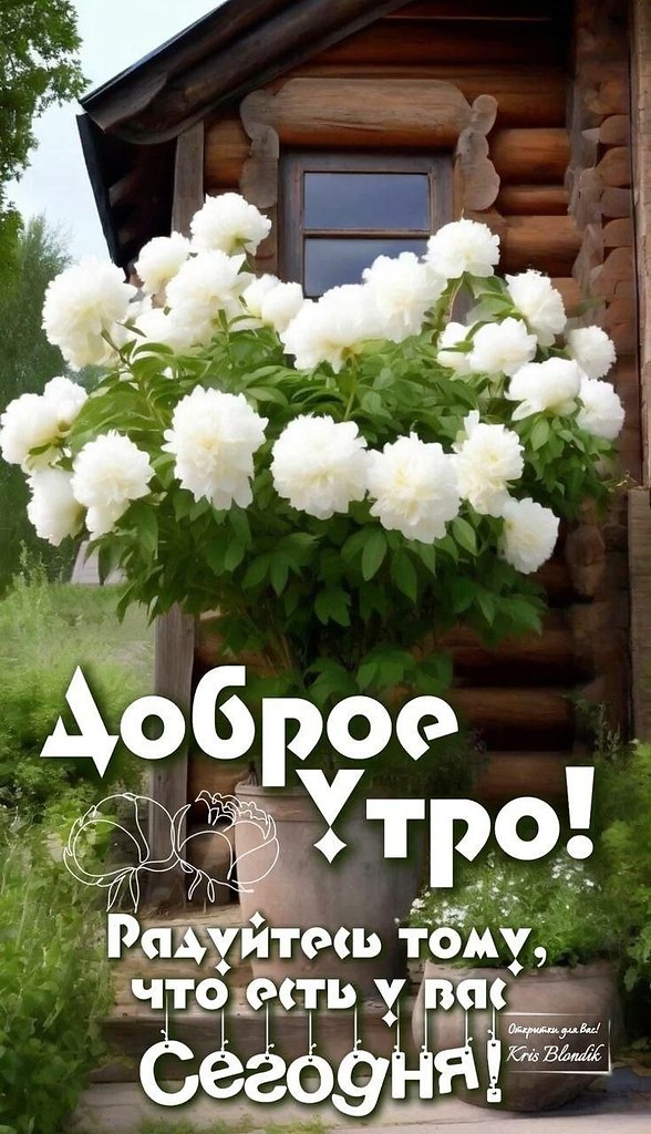   - 1  2025  11:18