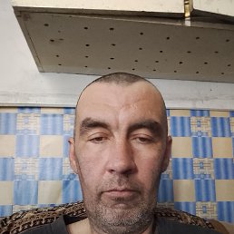 ����, 42 ����, ������