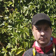 , 35 , 