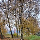 ���� �����, ������, 41 ��� - ��������� 30 ������� 2025 � ������ �������� ������� �.�������