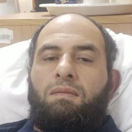 �����, ������, 43 ����