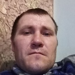 ����, �����������, 41 ���