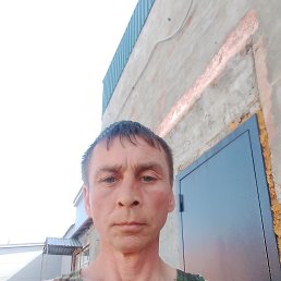 , 43 , 