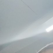 , 41 , 