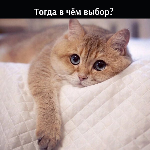       - 8  2025  16:46 - 4