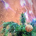 ���� ��������, ����������� - ��������� 30 ������� 2023 � ������ ������ ��������