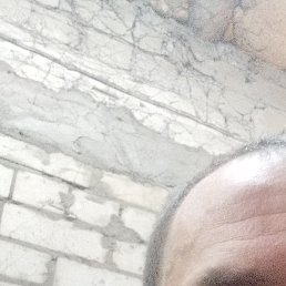 �����, �������, 41 ���