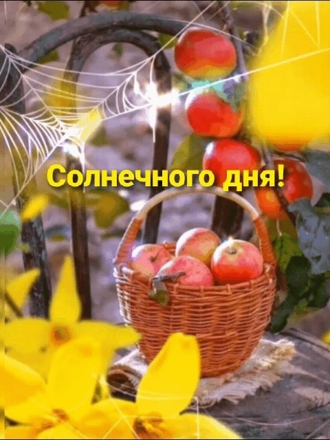 ПРИВЕТСТВИЯ и ПОЖЕЛАНИЯ, открытки на каждый день. - 12 октября 2025 в 14:14