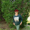 ���� �������, ��������, 65 ��� - ��������� 4 ���� 2025